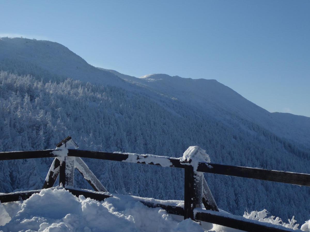 Pokoje Goscinne - Za Borem Zubrzyca Gorna Exteriér fotografie