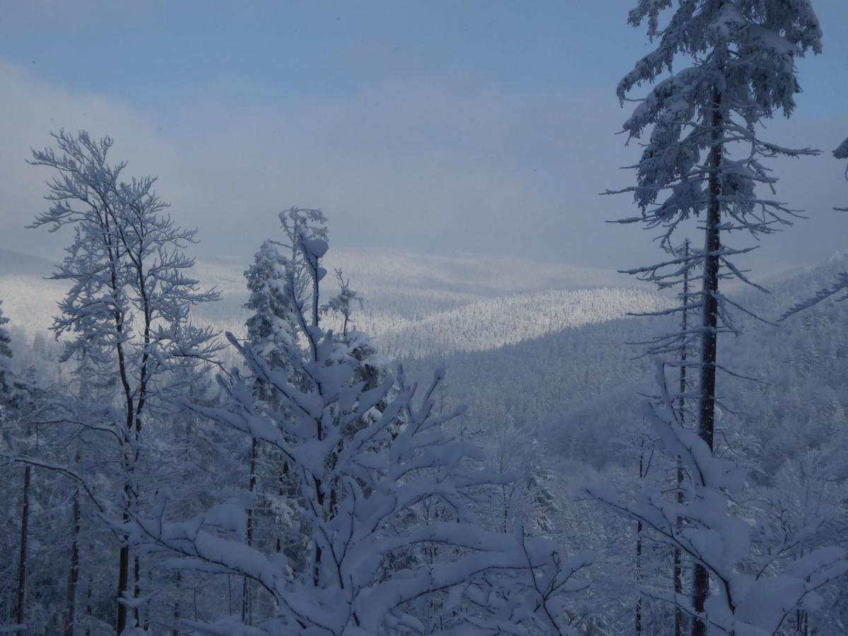 Pokoje Goscinne - Za Borem Zubrzyca Gorna Exteriér fotografie