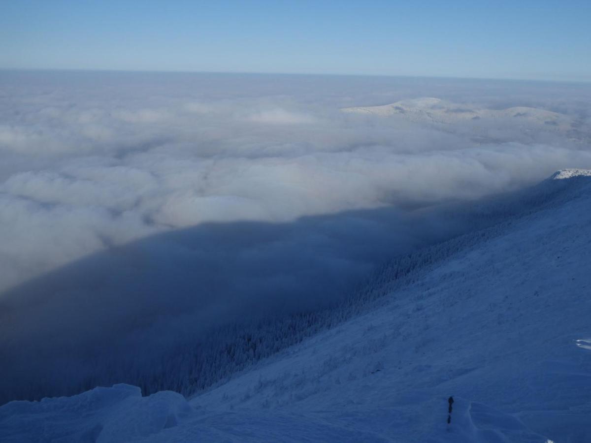 Pokoje Goscinne - Za Borem Zubrzyca Gorna Exteriér fotografie