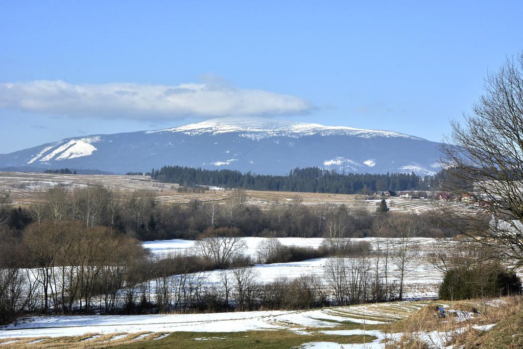 Pokoje Goscinne - Za Borem Zubrzyca Gorna Exteriér fotografie