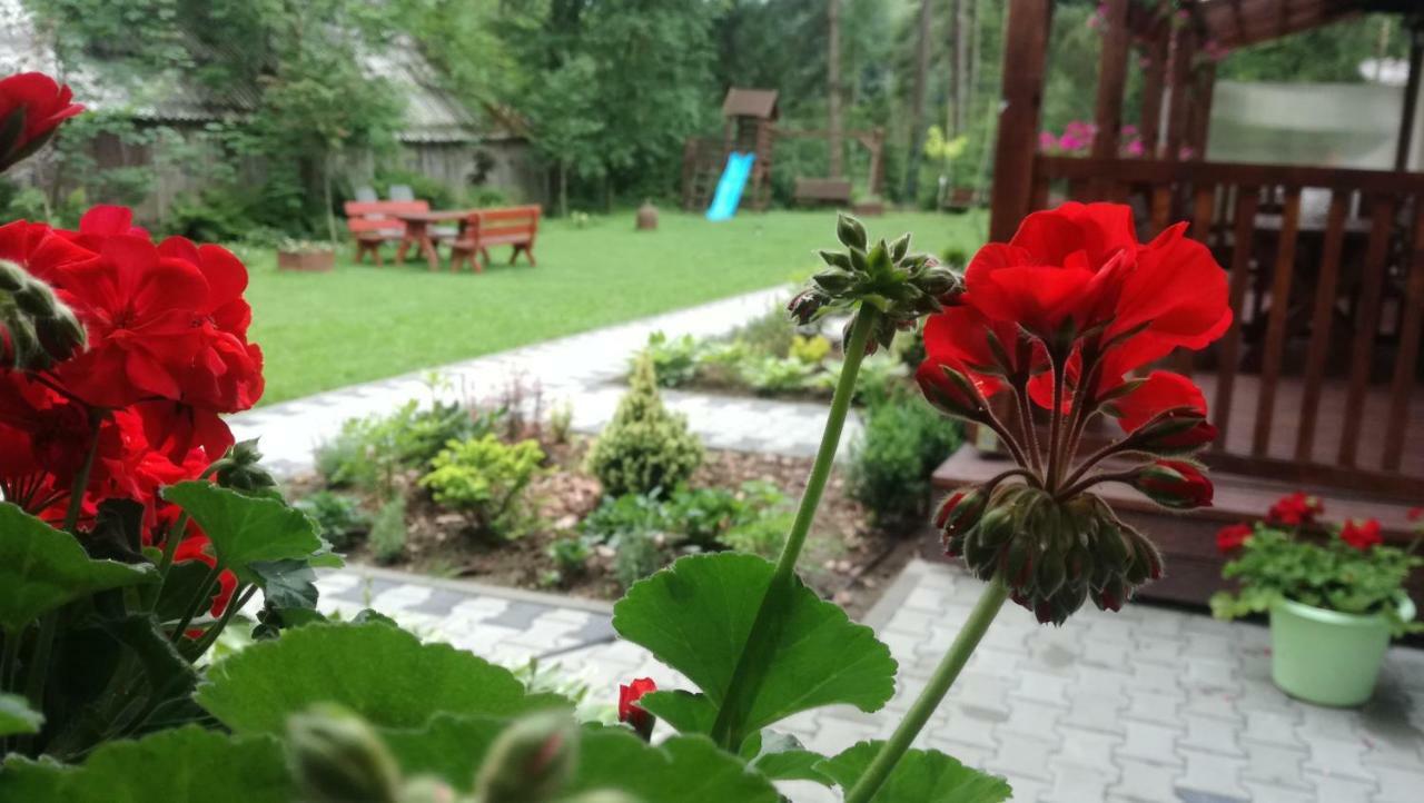 Pokoje Goscinne - Za Borem Zubrzyca Gorna Exteriér fotografie